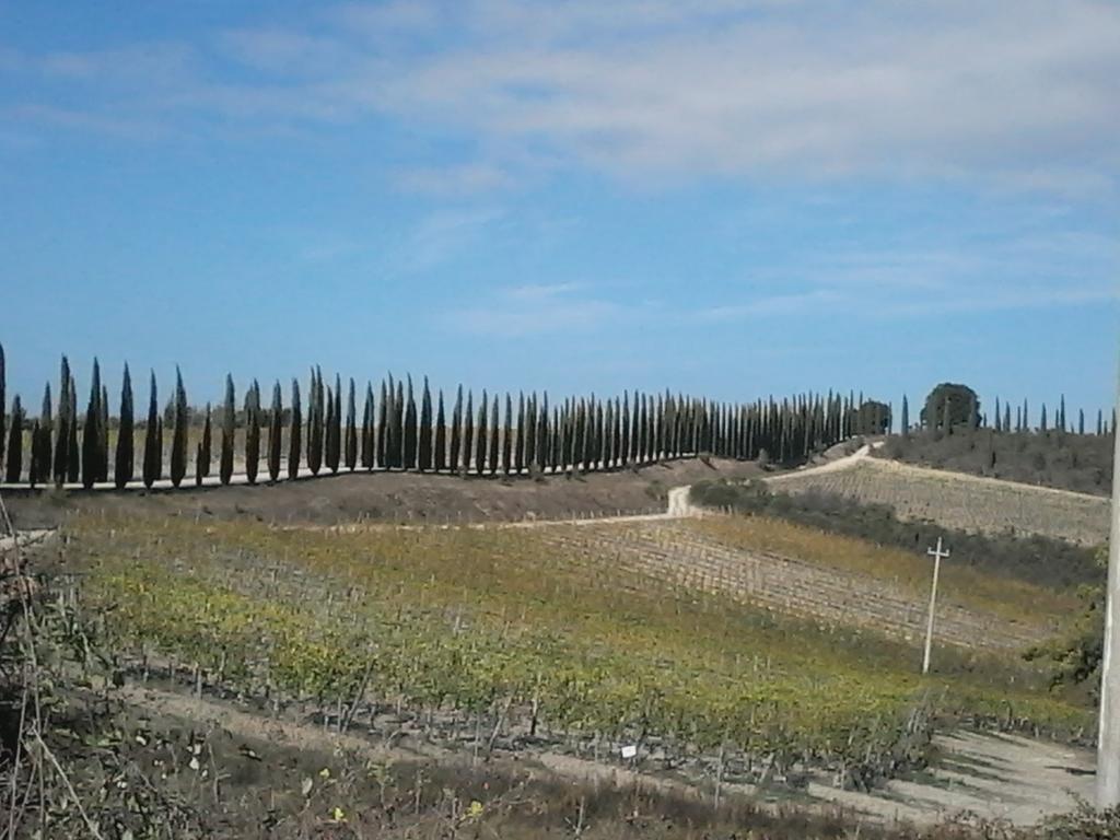 Cisterna Nel Borgo Hotel Castiglione d'Orcia Exterior photo